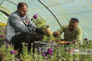 استقبال از بهار