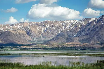 تالاب&zwnj;های چهارمحال و بختیاری زیستگاه پرندگان مهاجر / شناسایی ۲۹۶ گونه پرنده در استان