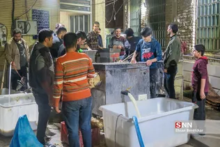 آیین پخت 20 هزارکیلوگرم سمنو در شیراز