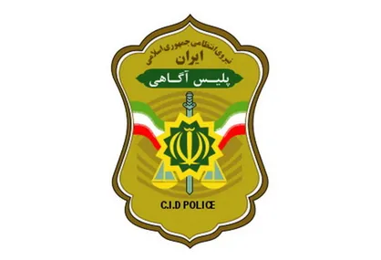 پلمب ۸ دفتر شرکت هرمی در سال جاری