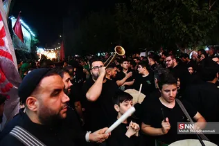 دبب