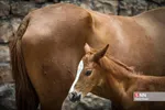 nw