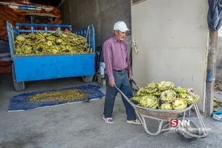 آفتاب گردون
