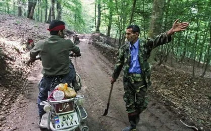 قاچاقچیان چوب، کارگران نکاچوب را با قمه زخمی کردند / مراجع قضایی تا امروز در این موارد کاری نکرده&zwnj;اند + فیلم