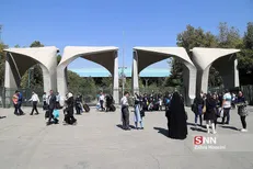 معرفی روشی نوین برای شناسایی ناخالصی‌های زردچوبه