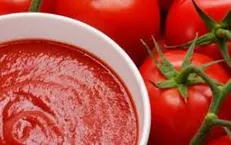 قاچاقچی رب گوجه فرنگی یک میلیارد جریمه شد