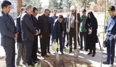 کاشت ٥ هزار درخت از طرف شهید امام خامنه‌ای در مدارس استان کرمان