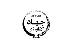 رئیس سازمان جنگل‌ها، مراتع و آبخیزداری کشور منصوب شد