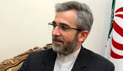 باقری: ایران و صربستان باید به اشتراک عمل در صحنه بین&zwnj;المللی روی بیاورند