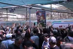 دبب