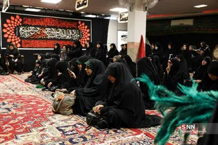 دبب