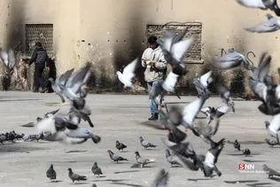 بوستان معتادان