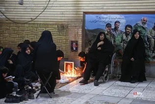 دبب