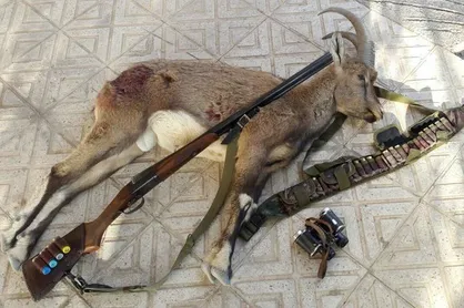 ۷۱۱۳ نفر به دلیل شکار غیرمجاز و قاچاق حیات وحش دستگیر شده&zwnj;اند