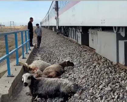 برخورد قطار با دام&zwnj; در اصفهان حادثه ساز شد