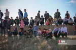 مسابقات سوارکاری 
