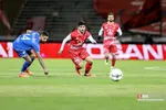دبب