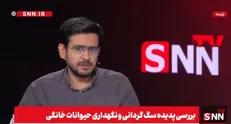 توضیحات کارشناس محیط زیست در رابطه با فاجعه در حیات وحش به علت به هم خوردن تعادل زاد و ولد سگ‌ها+فیلم