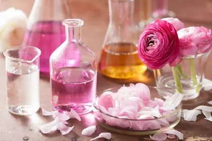 سفری علمی پژوهشی به پایتخت عطر جهان / محققان و فعالان ایرانی ثبت&zwnj;نام کنند