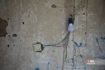 دبب