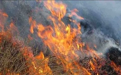 اعزام بالگرد از تهران برای اطفای حریق جنگل مریوان