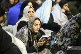 دبب