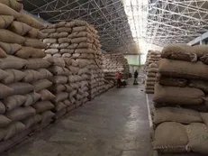 جنجال بر سر واردات برنج / معاون وزیر صمت خطاب به معاون وزیر کشاورزی: نگذارید برنج‌ها در بنادر خراب شود
