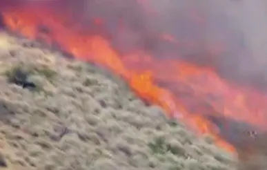 کالیفرنیا در محاصره آتش؛ دستور تخلیه فوری برای ۲۳ هزار نفر