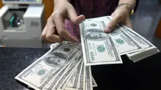 تصمیم پرخسارت ارز ۴۲۰۰ تومانی با وجود مخالفت بانک مرکزی گرفته شد
