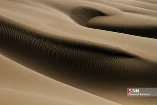 new
