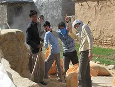 مشکلات اداری گریبان‌گیر برگزاری اردو‌های جهادی/ معاونت‌های دانشگاه به حداقل وظایف خود پایبند باشند