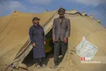 عشایر