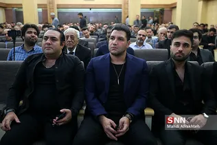 گروه سون