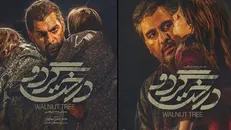 «درخت گردو» اکران می‌شود
