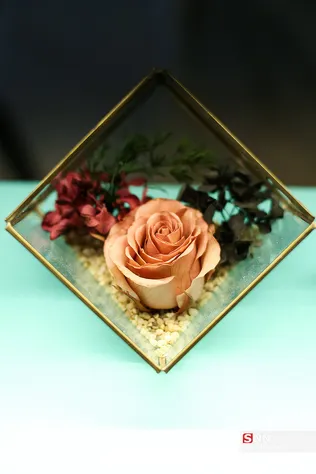 new