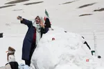 دبب