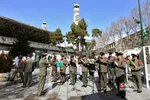 دانشگاه