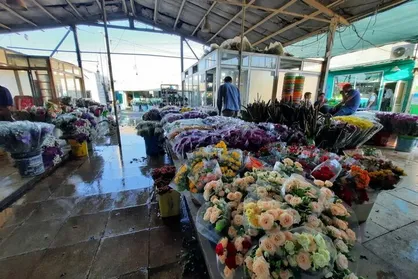 پلمب بازار گل امام رضا (ع) تهران به کجا رسید؟