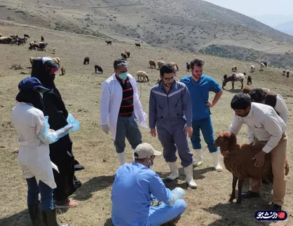 خدمت رسانی جهادگران دانشگاه آزاد کرج به مردم روستا&zwnj;های خلخال / معاینه و درمان ۱۲۰۰۰ رأس دام