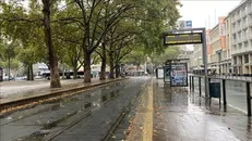 رانندگان اتوبوس در آلمان دست از کار کشیدند