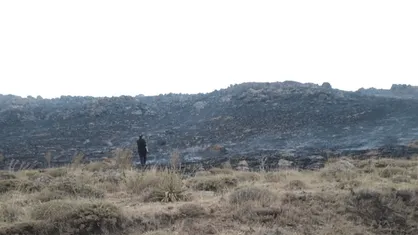 آتش&zwnj;سوزی مراتع تالاب نئور مهار شد