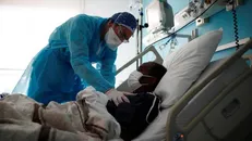 آمار جهانی همه‌گیری کرونا / بیش از ۵۳ میلیون مبتلا به کووید-۱۹