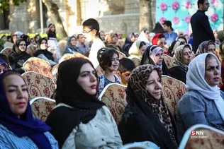 دبب