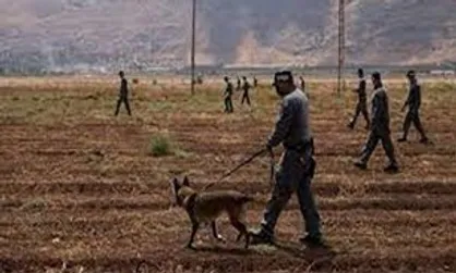 عملیات جستجوی اسرای جلبوع ۳۱ میلیون دلار خرج روی دست تل&zwnj;آویو گذاشت