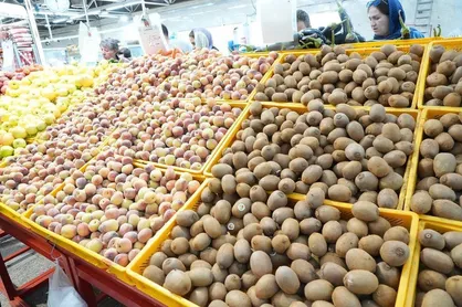 میوه را چقدر ارزان&zwnj;تر از سطح شهر در میادین میوه و تره بار می&zwnj;توان خرید؟
