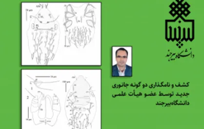 کشف و نامگذاری دو گونه جانوری جدید توسط عضو هیئت علمی دانشگاه بیرجند