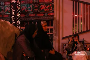 دبب