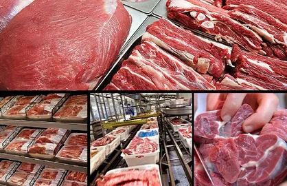 گوشت&zwnj;های وارداتی بازار را تنظیم نکرد/ اطلاع&zwnj;رسانی ضعیف ومعطلی مردم