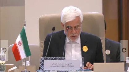 عارف: راه&zwnj; حل دموکراتیک برای فلسطین، همه&zwnj;پرسی میان تمامی فلسطینیان است + فیلم