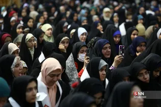 دبب